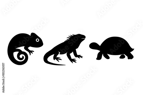 Black silhouettes of exotic reptiles including chameleon iguana and turtle