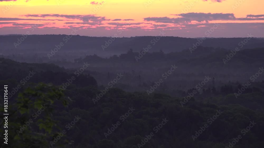 custom made wallpaper toronto digitalA tranquil evening scene of a forest valley at sunrise. Dim silhouettes frame a gentle sky of red, orange and yellow conveying calm, quiet, and natural beauty.