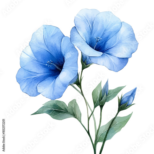 Balloon Flower, soft and charming watercolor, isolated on a white background, delicate and elegant style.