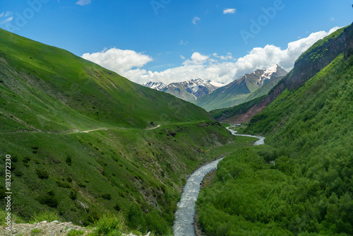 Winding river cutting through lush green valley beneath distant snowy peaks