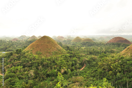 View of the Chocolate Hills on a foggy, rainy day, Bohol Island, Philippines