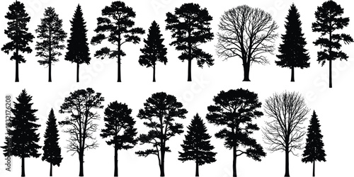 Black tree silhouettes isolated on white, pine and deciduous forest vector style shapes, nature icons, winter and summer tree outlines, minimalist ecology design bundle, woodland graphic set