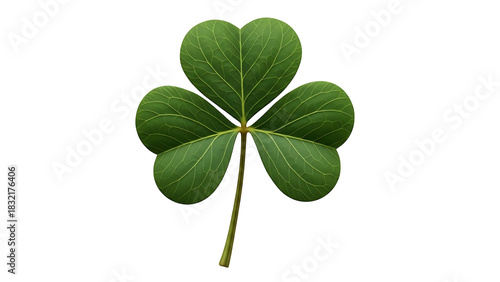 Single green shamrock leaf against black background
