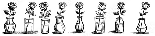 Set of hand drawn rose flowers in various glass vases and jars vector sketch illustration of floral home decoration isolated on white background