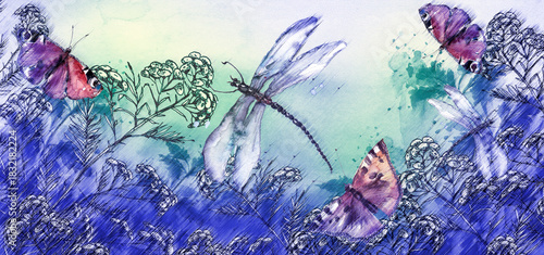 Watercolor illustration. Dragonfly flies on the background of greenery, grass. Immortelle plant, tansy, wild herbs. Abstract  paint splash. Red poppy. Summer landscape with a butterfly and a dragonfly