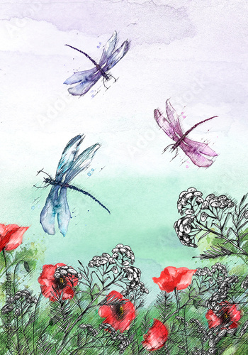 Watercolor illustration. Dragonfly flies on the background of greenery, grass. Immortelle plant, tansy, wild herbs. Abstract  paint splash. Red poppy. Summer landscape with a butterfly and a dragonfly