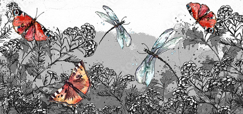 Watercolor illustration. Dragonfly flies on the background of greenery, grass. Immortelle plant, tansy, wild herbs. Abstract  paint splash. Red poppy. Summer landscape with a butterfly and a dragonfly