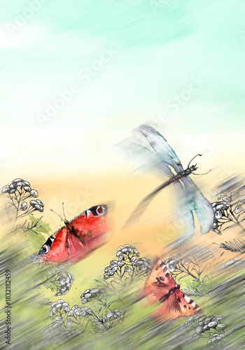 Watercolor illustration. Dragonfly flies on the background of greenery, grass. Immortelle plant, tansy, wild herbs. Abstract  paint splash. Red poppy. Summer landscape with a butterfly and a dragonfly