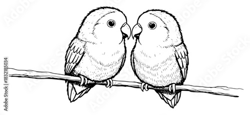 Cute couple of lovebirds parrots sitting together on a branch looking at each other vector sketch illustration