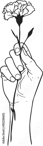 Hand holding carnation flower sketch, hand drawn line art, minimalist botanical. Vector illustration