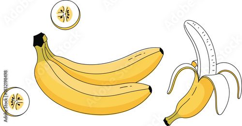 Detailed vector illustration set of fresh bananas, including a peeled banana, whole fruit on the bunch, and circular slices, perfect for healthy eating, tropical food, and organic concepts.