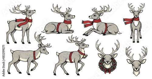 Playful Reindeer Characters Posing in Various Actions with Scarves, Cartoon Illustration Set