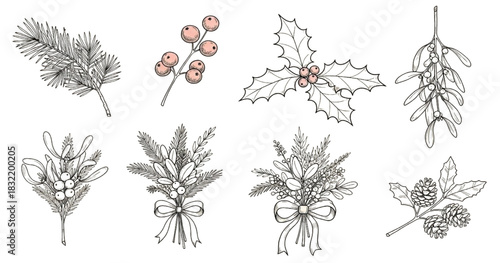 Hand-Drawn Botanical Illustrations of Winter Plants and Berries in Black and White Line Art