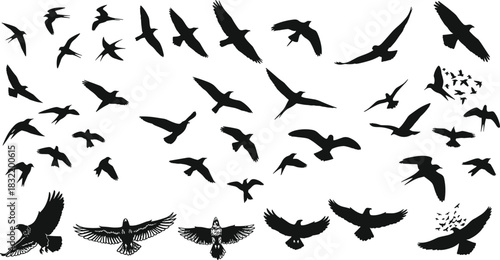 Bird silhouette set, flying positions, wing spread, flock formation, black icons, vector illustration, flight dynamics, nature, sky, motion