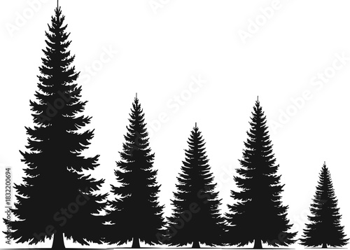Cad drawing flat vector illustration, evergreen tree silhouette set, five descending black shapes, forest growth icons, nature design element