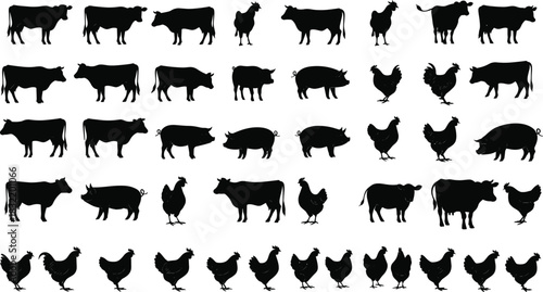 Farm animal silhouettes, cow pig chicken, black icons, vector illustration, livestock set, agriculture concept, animal identification, rural, barnyard, study