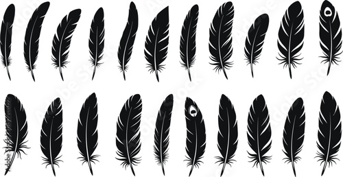 Feather silhouettes collection, bird quill icons set, boho plume illustration, 