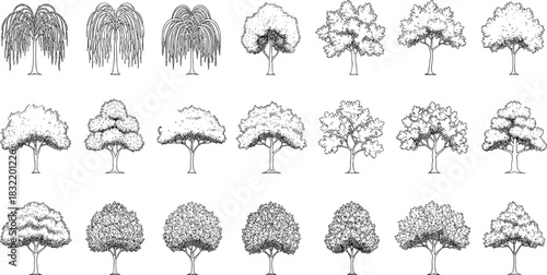 Hand-drawn tree silhouettes, botanical illustration set, deciduous foliage icons, 