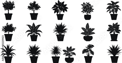 Indoor potted plant silhouettes, houseplant icons set, tropical foliage illustration, botanical home decor graphics, black vector, minimalist style, living room 