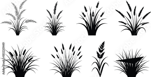 Ornamental grass silhouettes, reed and sedge plants set, garden landscaping icons, meadow foliage illustration, black vector, nature design, wetland vegetation, minimal style, 