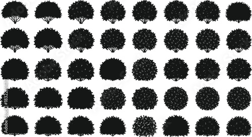 Round bush tree silhouettes, top view foliage icons set, landscape shrub illustration pack