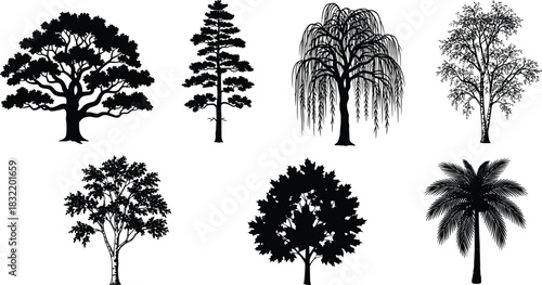 Tree silhouette set, botanical icons, foliage variation, species diversity, black vector illustration, landscape design, nature concept, classification, study