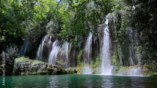 waterfall in the forest Background