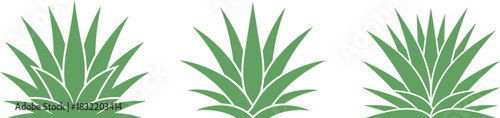 Set of stylized green agave plants side by side, representing desert flora, xeriscaping, and agave spirit production, isolated on white background