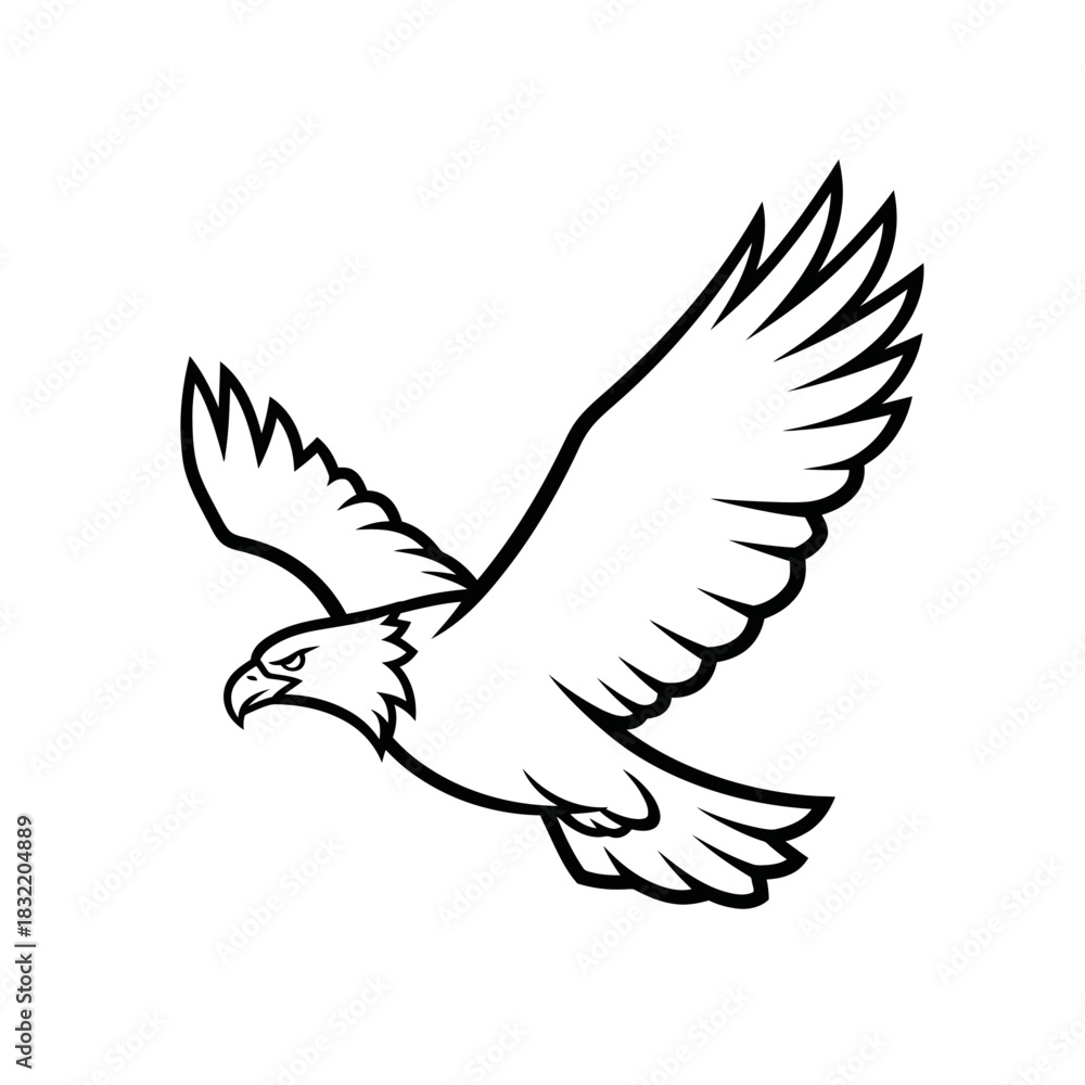 Fototapeta premium Outline drawing of a bald eagle in flight