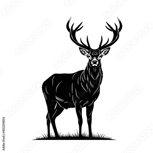Black and white illustration of a majestic stag with large antlers
