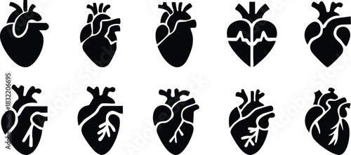 Set of anatomical heart icon Set, Human anatomical heart, heartbeat, cardiovascular, anatomy, medical, health, cardiology illustration, biology, organ, human heart collection, Vector illustration !