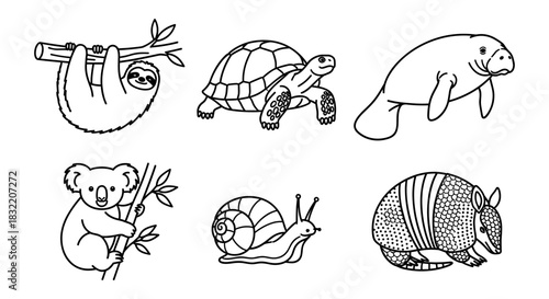 Cute wildlife collection: sloth, turtle, manatee, koala, snail, armadillo in black and white