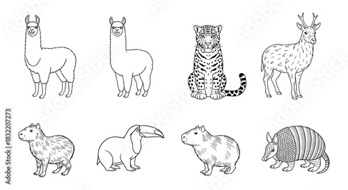Wildlife animals black and white outline set: llama, jaguar, deer, capybara, toucan, armadillo
