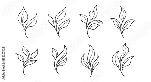 Elegant minimalist leaf designs in black thin line style