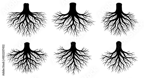 Collection of tree root silhouettes on white background