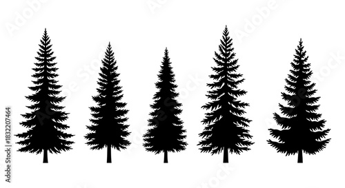Silhouette collection of evergreen trees with intricate details