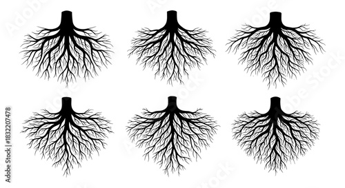 Collection of intricate tree roots in detailed silhouette style