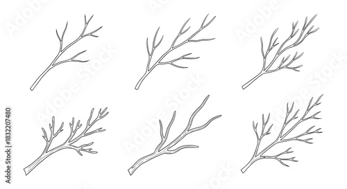 Minimalist botanical branches set with simple linear design for nature themes