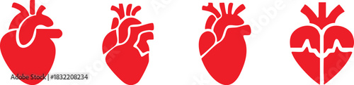Set of anatomical heart icon Set, Human anatomical heart, heartbeat, cardiovascular, anatomy, medical, health, cardiology illustration, biology, organ, human heart collection, Vector illustration !