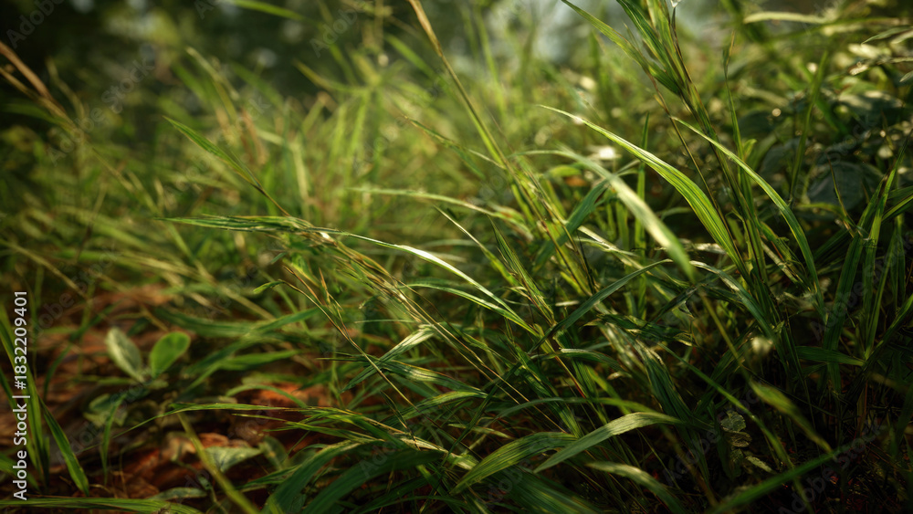Obraz premium A vibrant close-up of fresh green grass and wild foliage bathed in natural light, showcasing the lush texture of an outdoor environment.