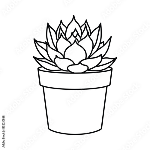 Simple black and white line drawing of a succulent plant in a pot