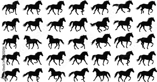 Horse, gallop, motion, silhouette, animation, sequence, equine, study, black, running, dynamic, frame, grid, speed, movement, animal, kinetic, posture, stride, locomotion