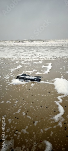 Angeschwemmter Teppich in Jütland