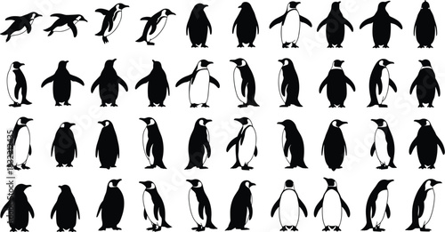 Penguin silhouette collection, animal poses, black and white illustration, graphic design, wildlife art, minimal style, posture variation, creative concept