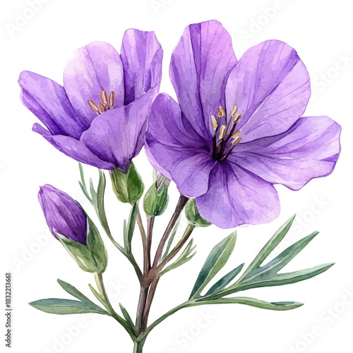 Browallia Flower, illustration watercolor with dynamic strokes and balanced color harmony, isolated on a white background.