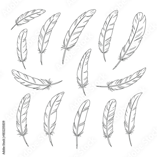 A collection of delicately sketched feathers in various orientations