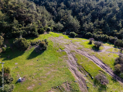 Aerial view green meadow bordering dense forest
