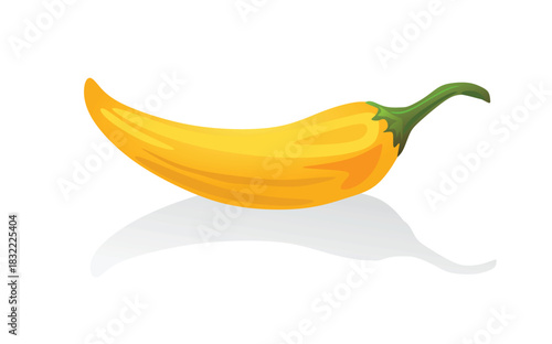 Yellow chili pepper. vector illustration	
