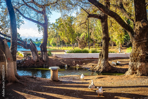Lake surrounded by trees at golden hour, La Encantada Park in Zacatecas