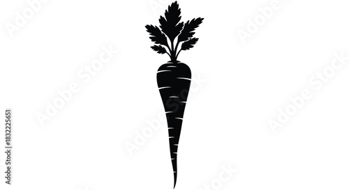 A striking black and white image of a carrot s detailed form a simple silhouette